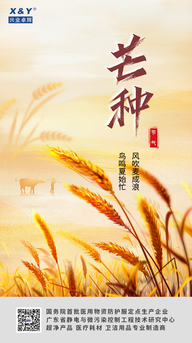 2023芒种(3).jpg