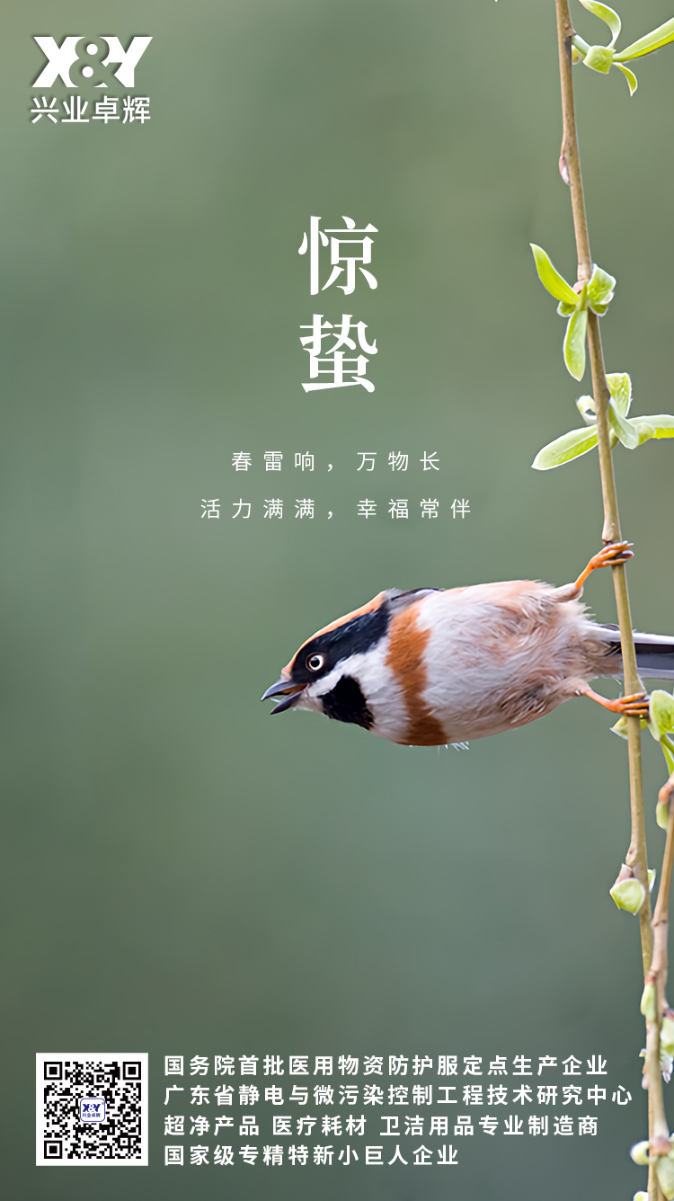 2025惊蛰(3)(1).jpg
